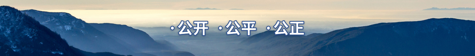 福建省金豐招標代理有限公司